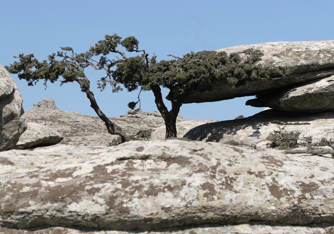 Ikaria - Pezi - - Ikaria Ikaria - Pezi - - Ikaria