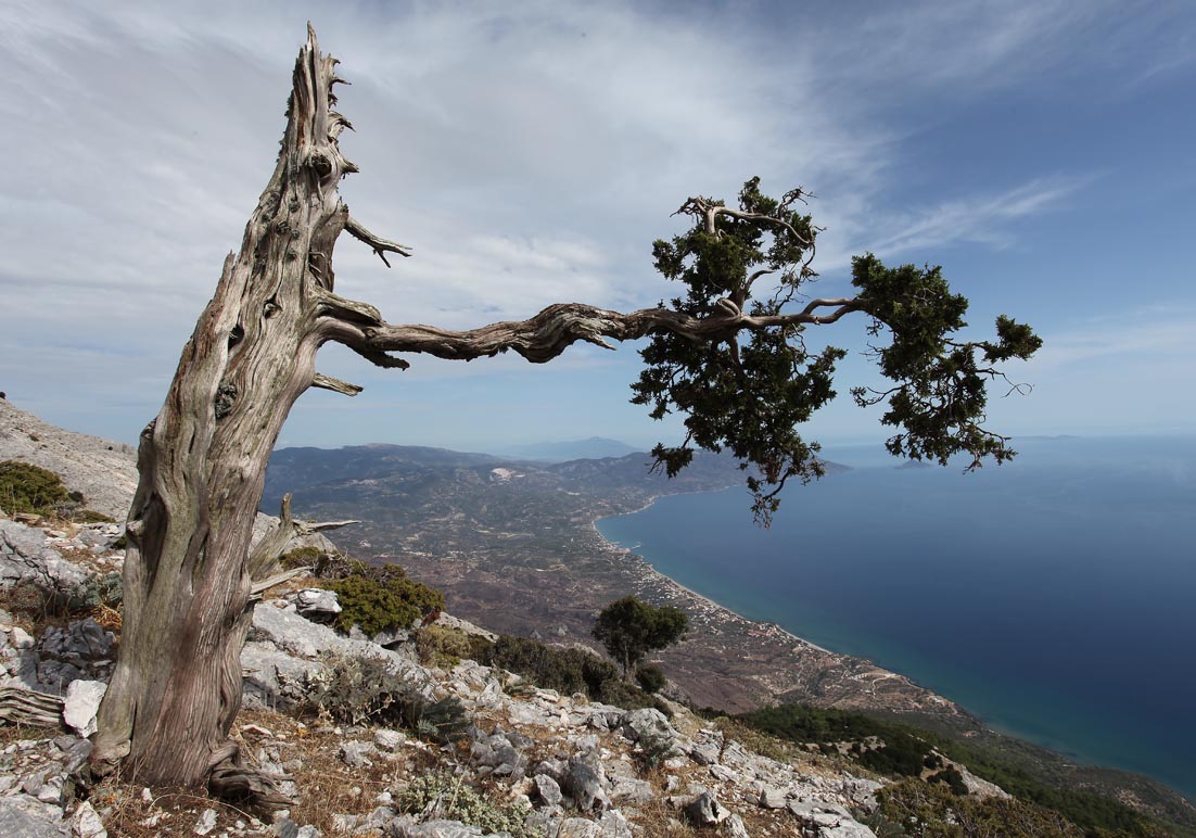 Samos - Vigla - - Samos Samos - Vigla - - Samos
