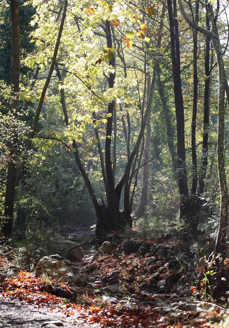Samos - Nachtigallental - - Samos Samos - Nachtigallental - - Samos