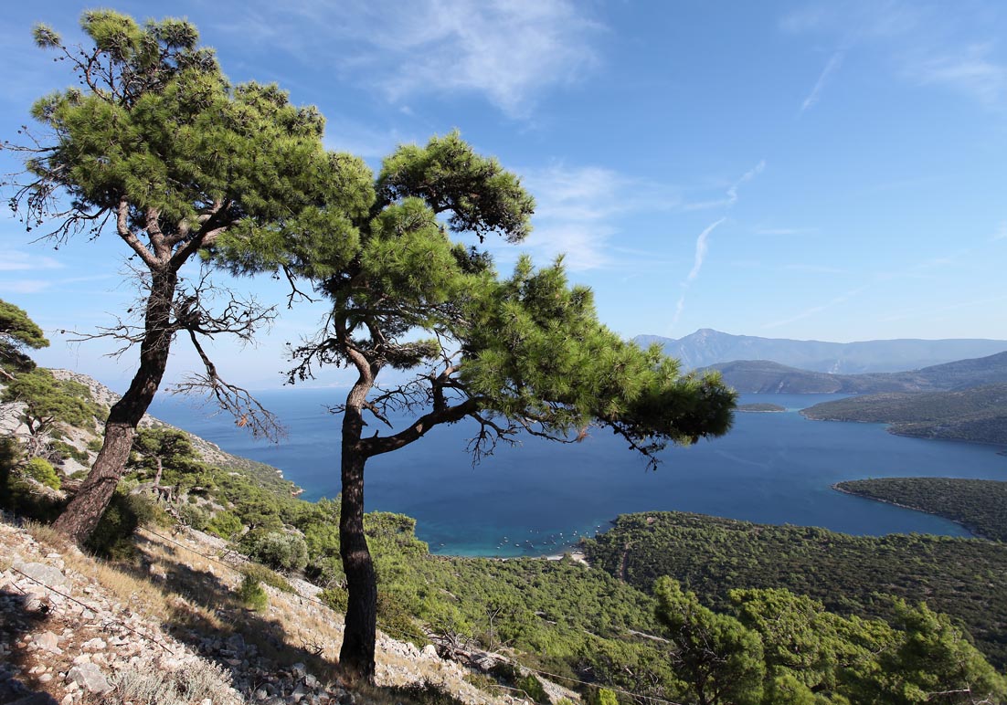 Samos - - Samos Samos - - Samos