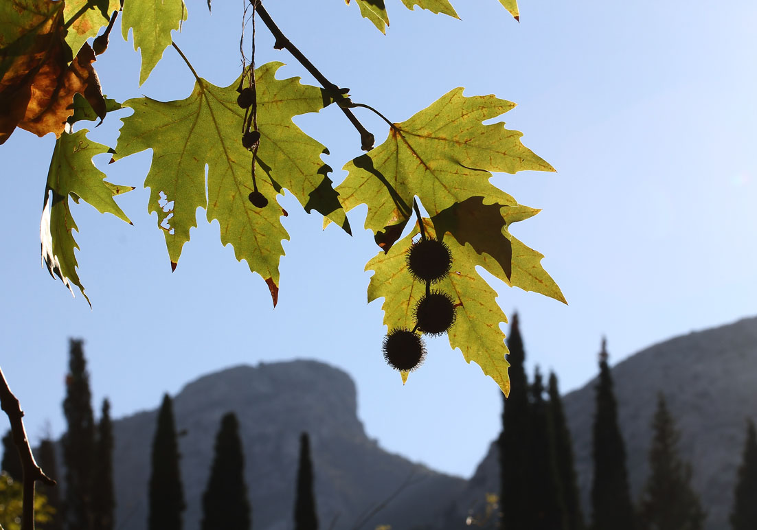Samos - Kokkari - - Samos Samos - Kokkari - - Samos